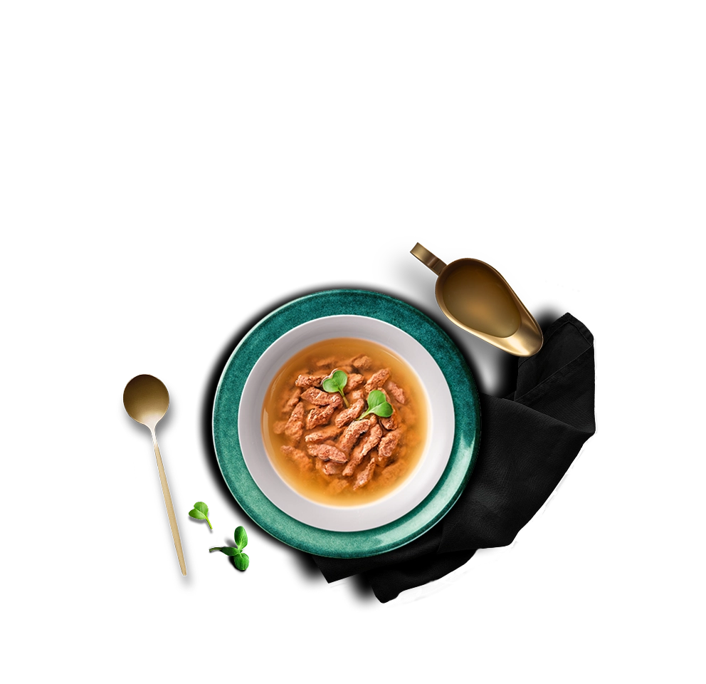 SHEBA® СУП-КОЛЛЕКЦИЯ классический куриный суп